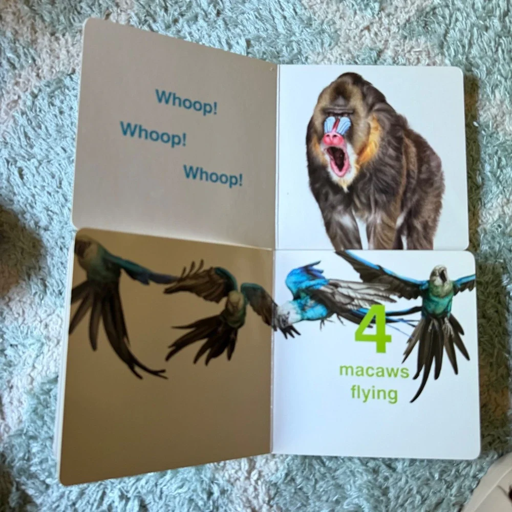 Creature Sounds & Creature Numbers Board Books Andrew Zuckerman Set